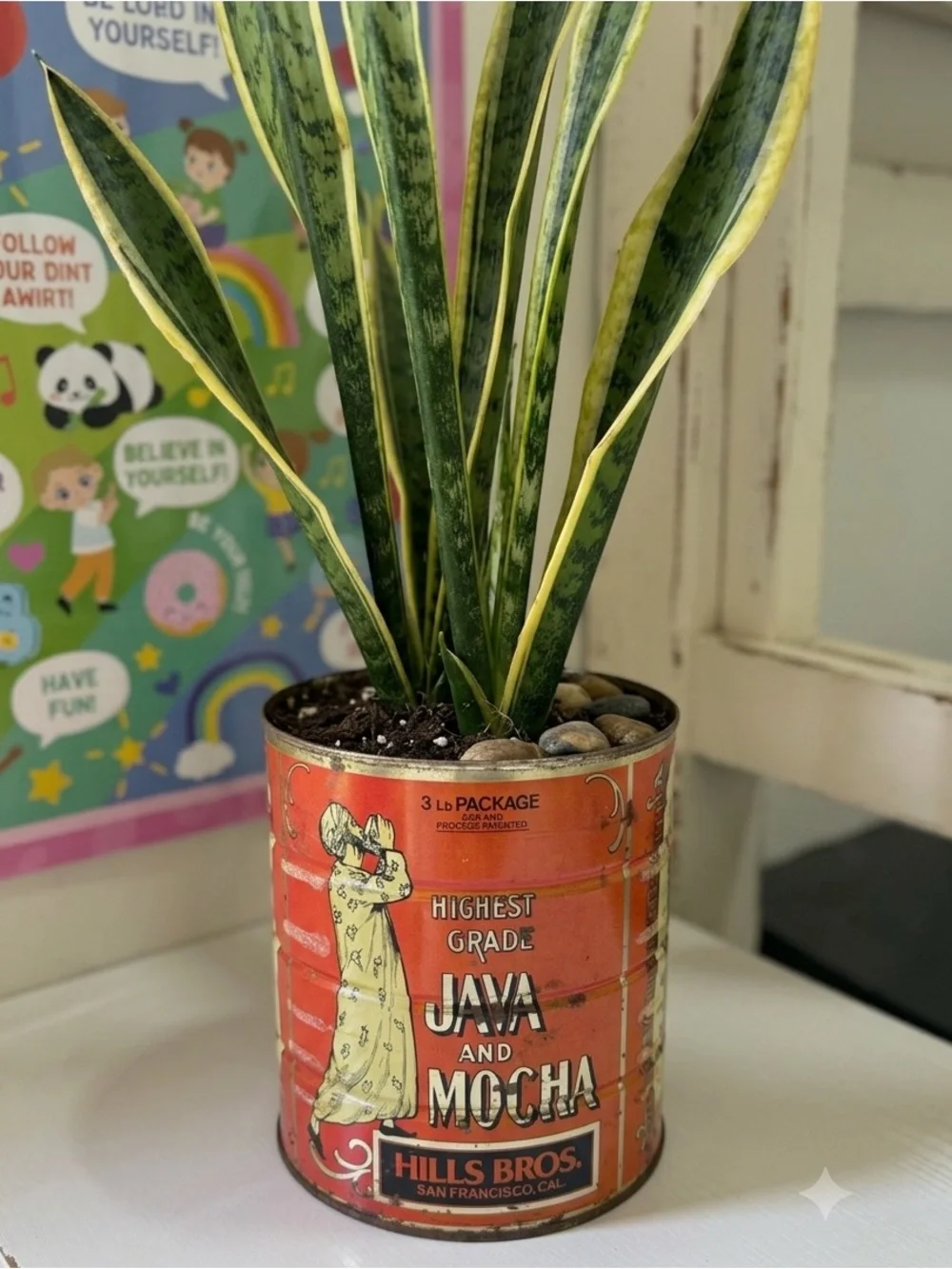 Vintage Hills Bros San Francisco Java and Mocha 3lb Coffee Can Tin Metal Planter